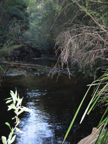 Beautiful flowing river - ideal for fishing and splashing around