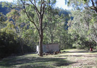 Camping grounds - open & spacious for the kids to explore
